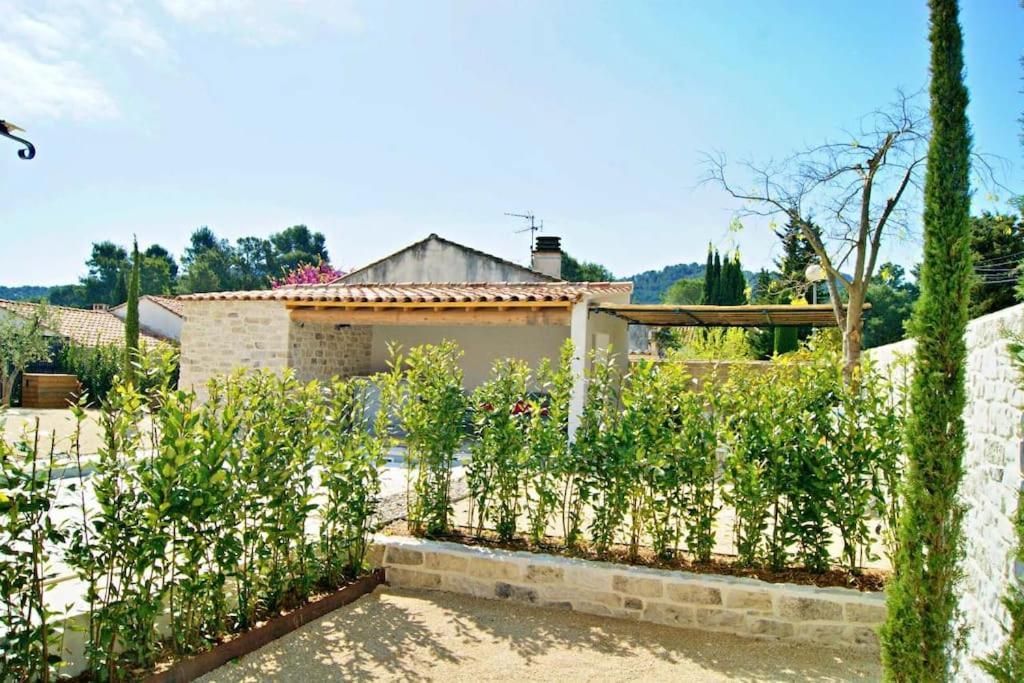 La Maison D'Angele Saint Remy De Provenceヴィラ エクステリア 写真